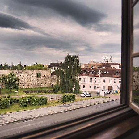 Guesthouse Zlaty Hrozen Česká Lípa Exteriör bild
