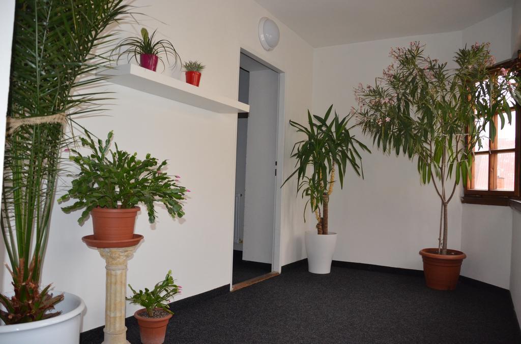 Guesthouse Zlaty Hrozen Česká Lípa Exteriör bild